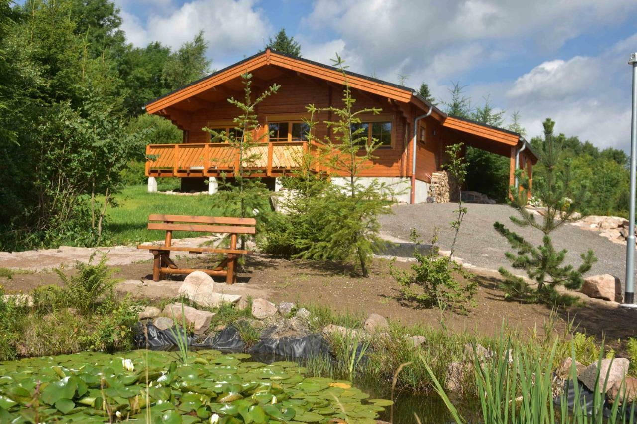 Erzgebirgsholzhaus Am Lugstein Villa Altenberg Buitenkant foto